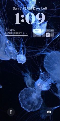 an image of jellyfish in the water with numbers on it's display screen