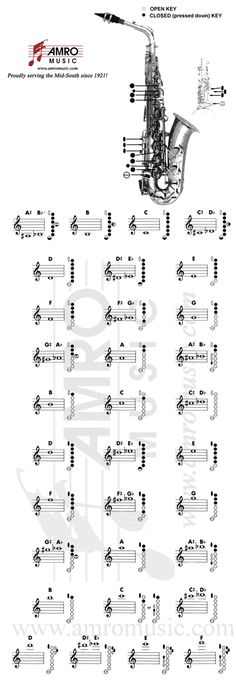 the wiring diagram for an electric guitar