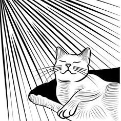 Easy Cat relaxing in sunbeams (free printable PDF black-and-white line drawing idea suitable for all, from beginners to advanced learners, including children, teens, adults, and seniors) Simple Cat Outline Drawing, Tree Drawing Easy, Christmas Cat Coloring Pages Free Printable, Cat Coloring Pages Free Printable, Cat Outline Drawing Free Printable