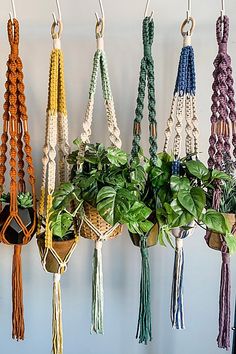 there are many different types of macrame cords hanging from hooks on the wall