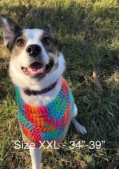 a dog wearing a multicolored knitted sweater sitting in the grass with its tongue out