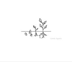 a line drawing of a plant with the word camus agorio written in cursive writing