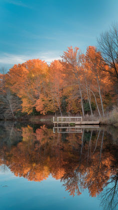 A wooden dock extends into a calm lake surrounded by colorful autumn trees. The sky is blue and the water reflects the trees. Mini Retirement, Let The Good Times Roll, Good Times Roll, Pack Your Bags, Hit The Road