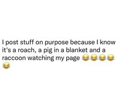 some emoticions with the caption'i post stuff on purpose because i know it's a roach, a pig in a blanket and a racoon watching my page