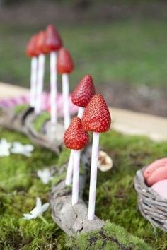 strawberries are placed on sticks in the grass near eggs and mushrooms, along with marshmallows