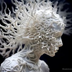 an intricate white sculpture is shown against a black background with the image of a woman's head made out of corals