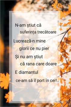 an orange leafed tree with the words'n - am sitt ca suferint treatare lucreaza - n mine glori