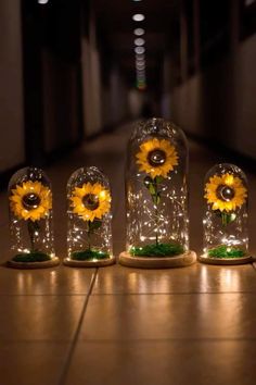 three sunflowers are under glass domes with lights on the bottom and below them