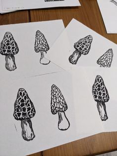 four drawings of different types of mushrooms on white paper with black ink, sitting on a wooden table