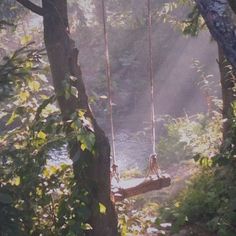 a swing suspended over a river in the middle of a forest with sunbeams