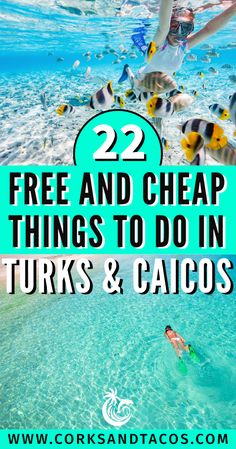 Two images of people snorkeling for free in Turks and Caicos. Snorkeling Turks And Caicos, What To Wear In Turks And Caicos, Turks And Caicos Things To Do In, Turks And Caicos Outfits, Turks And Caicos Providenciales