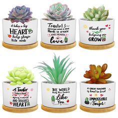 PRICES MAY VARY. Package Contents: Each Funny Succulent Plant Pot Set Includes 6 Succulent Pots And 6 Bamboo Trays, Which Are An Ideal Size To Fit On Your Desk Or Window Sill At Home; As A Gift For Women, Friend, Daughter, Mom, Coworker Teachers And So On; They Are Also Favored As Party Favors For Wedding Parties And Were A Big Hit Excellent Gift Choice Suitable Size: Each Succulent Plant Pot Measures 2.2 Inches (About 5.6 Cm) High And 3.11 Inches (About 7.9 Cm) Wide; The Tray Material Is Qualit Tray Ceramic, Teacher Graduation, Nurses Week Gifts, Teacher Birthday, Planter Gift, Ceramic Succulent, Bamboo Tray, Bright Fashion, Diy Teacher Gifts