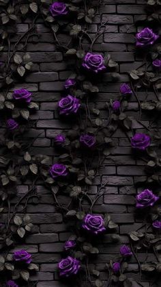 purple roses growing on a brick wall