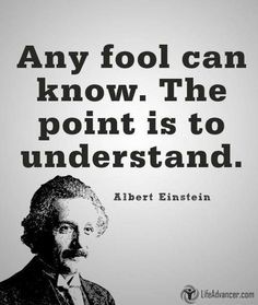 albert einstein quote about the point to understand that you can't know what it is