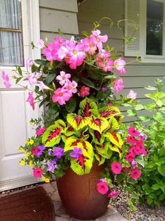 a potted plant with pink and yellow flowers in front of a home door way