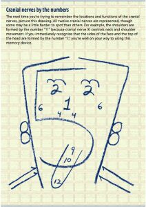 a drawing of a face with the words, pars creadles la mejor