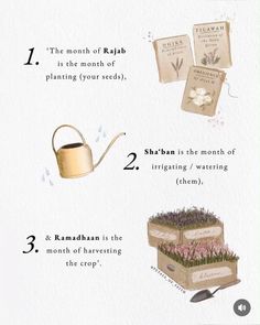 an illustrated guide to growing herbs in pots and containers with instructions on how to use them