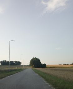 an empty road in the middle of a field