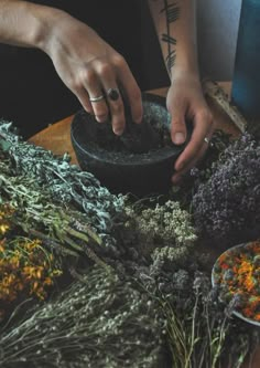 Magia Das Ervas, Yennefer Of Vengerberg, Green Fairy, Witch Aesthetic, Practical Magic, Kitchen Witch, Healing Herbs, Green Witch, Witchy Vibes