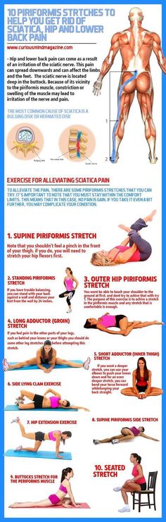 Stretches For Back, Piriformis Muscle, The Nerve, Sciatic Nerve, Nerve, Lower Back