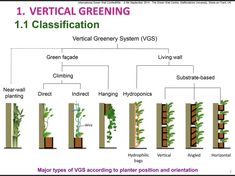 a diagram showing the different types of vertical planting