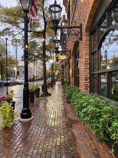 an empty brick street lined with potted plants next to a lamp post and windows