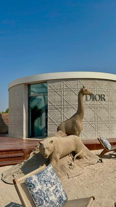 two giraffe statues sitting in the sand near a building with a sign on it