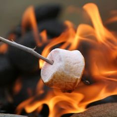 an apple roasting on fire with the words toasted marshmallow