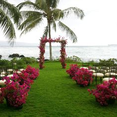 an outdoor ceremony set up with chairs and pink flowers on the grass near the ocean