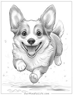 a drawing of a dog jumping in the air