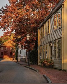 an empty street lined with houses and trees in the fall time, during the day