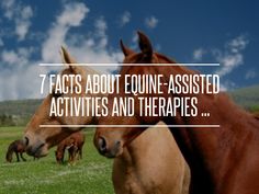 two brown horses standing next to each other in a field with text that reads 7 fact about equine - assisted activities and therapies