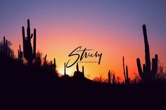 the sun is setting behind some cacti and cactus trees in the background with words that read, sticky photography