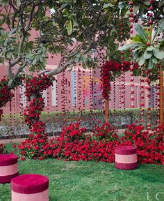 red flowers are growing on the side of a pink wall and green grass in front of it