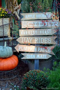 a wooden sign sitting in the middle of a garden filled with lots of pumpkins