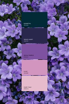 purple flowers with the names of each color scheme in their corresponding palettes are shown