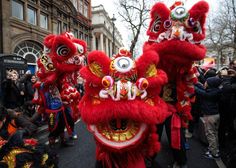 Chinese New Year Pictures, Lion Dragon, Chinese Lion Dance, Chinese Lion, Wishes For Husband, Lion Costume, Visit China