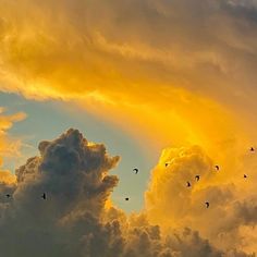 a flock of birds flying through a cloudy sky