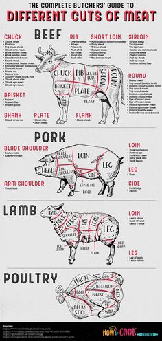 the butcher's guide to different cuts of meat