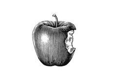 an apple with a bite taken out of it, vintage engraved engraving or hand drawn illustration