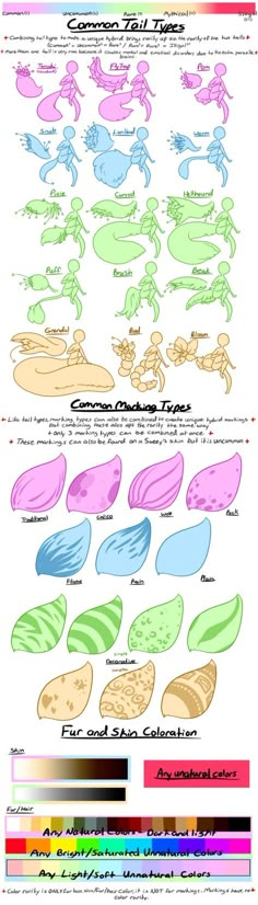 an info sheet with different colors and shapes