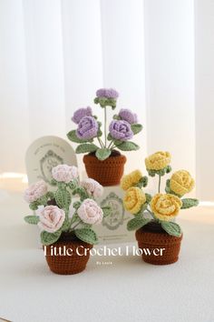 three crocheted flowers in small pots on a white surface with the word little crochet flower written below them