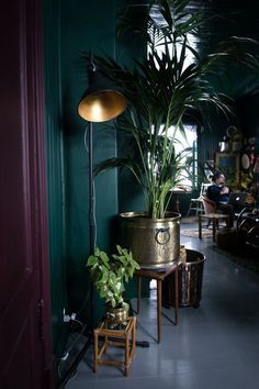 a potted plant sitting on top of a table next to a lamp