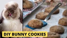 two pictures side by side, one with bunny cookies and the other with bundts