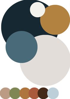 an assortment of different colored circles on a white background