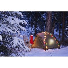 A Tent Is Set Up In The Woods With Christmas Lights And Stocking Near Anchorage Alaska by John Delapp / Design Pics Image 1 Tent Set Up, Homes Ideas, Camp Site, Orange Glow, Wilderness Camping, Camping Aesthetic, Christmas Board, Anchorage Alaska, Winter Camping