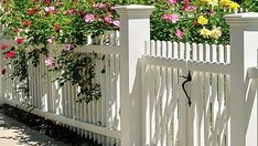 a white picket fence with flowers growing on it