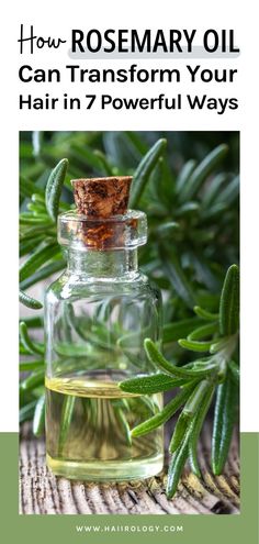 Rosemary oil is a game-changer for your hair! In this post, I share 7 incredible benefits of rosemary oil that can transform your hair care routine. From stimulating hair growth and reducing hair loss to improving scalp health and adding shine, rosemary oil has it all. Learn how to incorporate it into your routine, and even how to make your own rosemary oil at home. Ready for stronger, healthier hair? Visit the blog now to discover the magic of rosemary oil and how it can work wonders for you! Using Rosemary Oil For Hair Growth, How To Make Rosemary Oil, Rosemary Hair Oil Recipe, Rosemary For Hair Growth