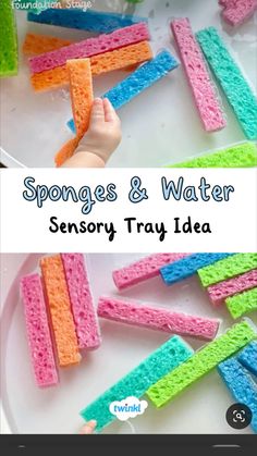 sponges and water is an easy science activity for toddlers to learn how to use them