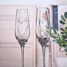 two wine glasses sitting next to each other near a potted plant on a table